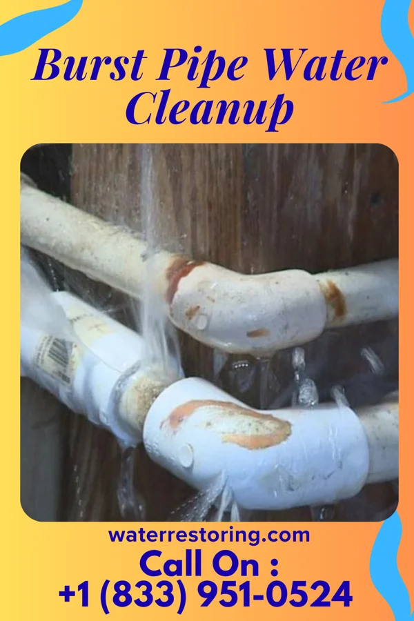Burst Pipe Water Cleanup in Kirkland, IL