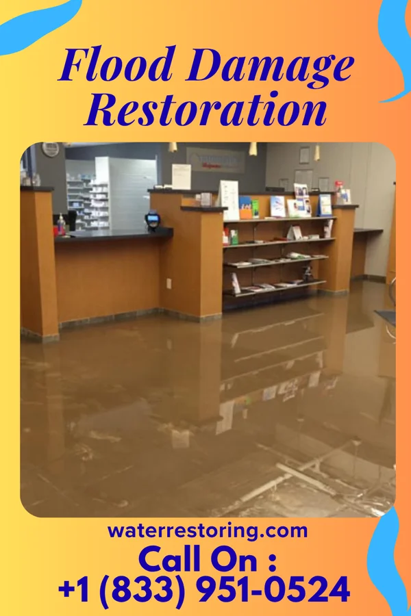 Flood Damage Restoration in Kirkland, IL