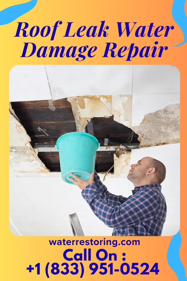 Roof Leak Water Damage Repair in Kirkland, IL