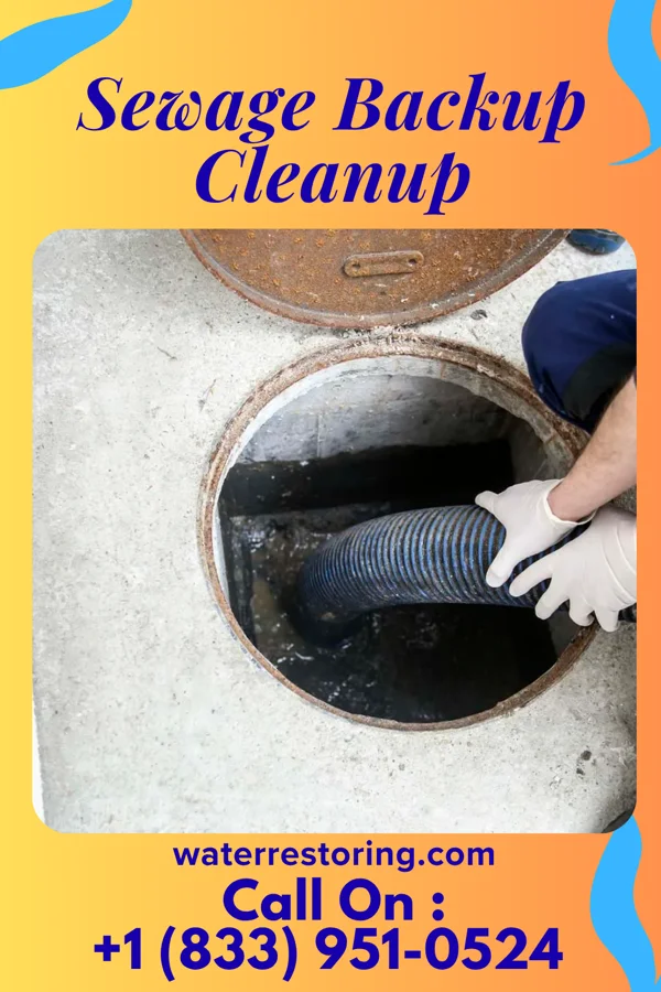 Sewage Backup Cleanup in Kirkland, IL