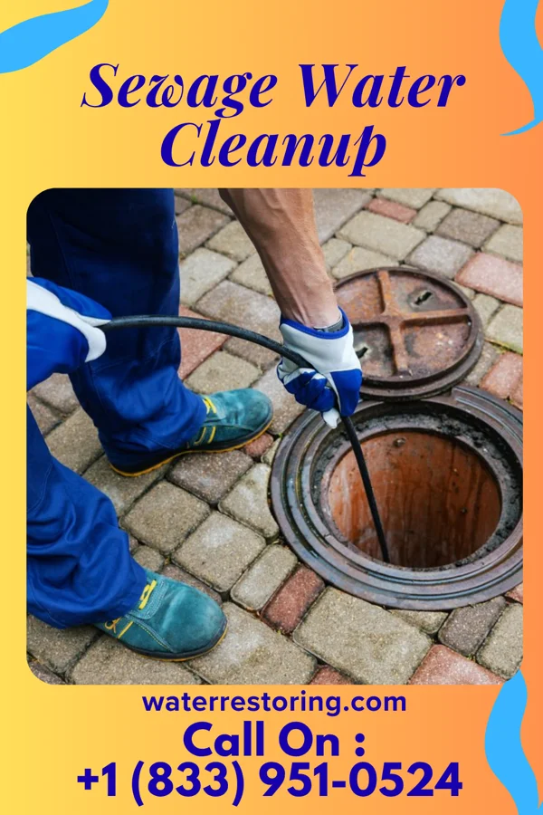 Sewage Water Cleanup in Kirkland, IL